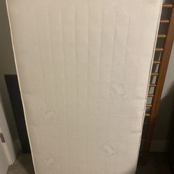 Sealy Crib Sized Mattress
