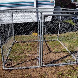 Chain Link Dog Kennel 