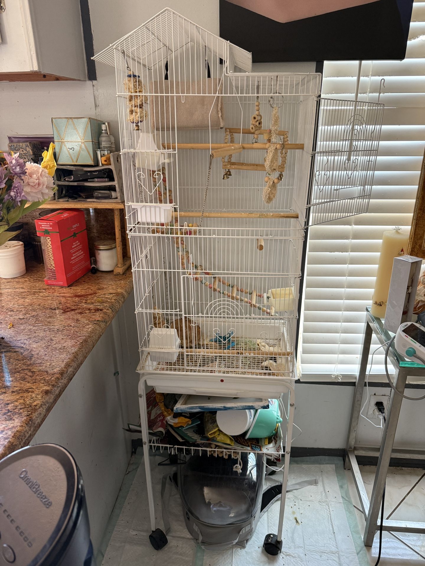 Bird Cage