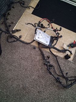 Wiring harness and pcm
