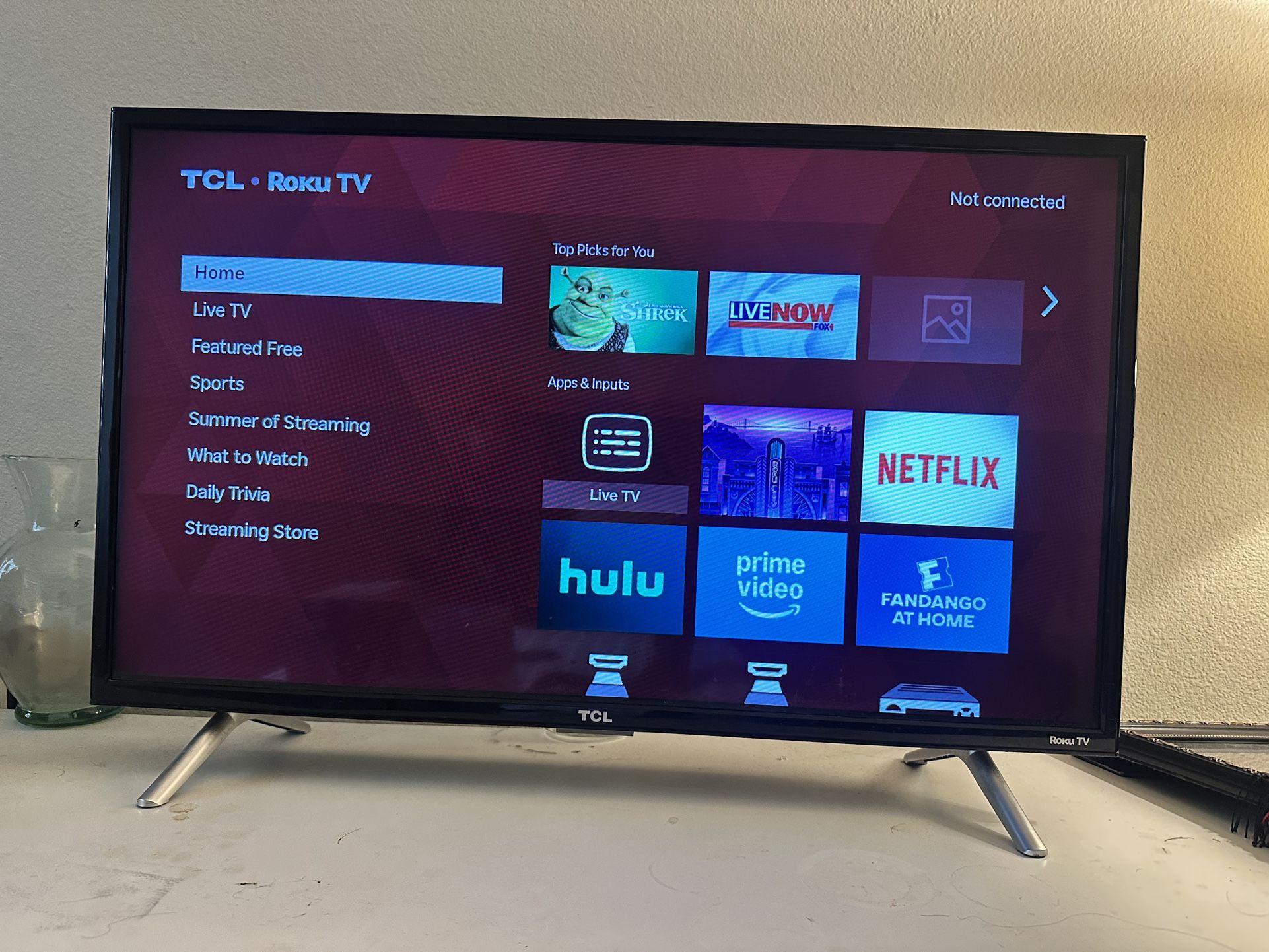 TCL 32in Roku TV