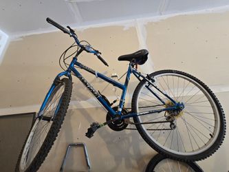 Women's Bicycle