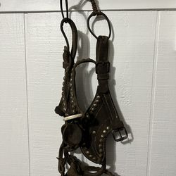 Leather Studded Horse Bridle 