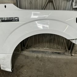 2015-2020 Ford F150 Front Right Passenger Side Fender OEM