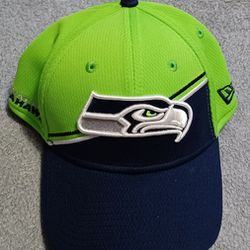 Seattle Seahawks Hat Cap Fitted 39thirty Size Small Medium  Lynch Wilson