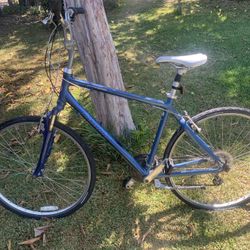 Giant Cypress Comfortable Bike Large