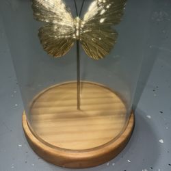 Butterflie Decor Piece New 