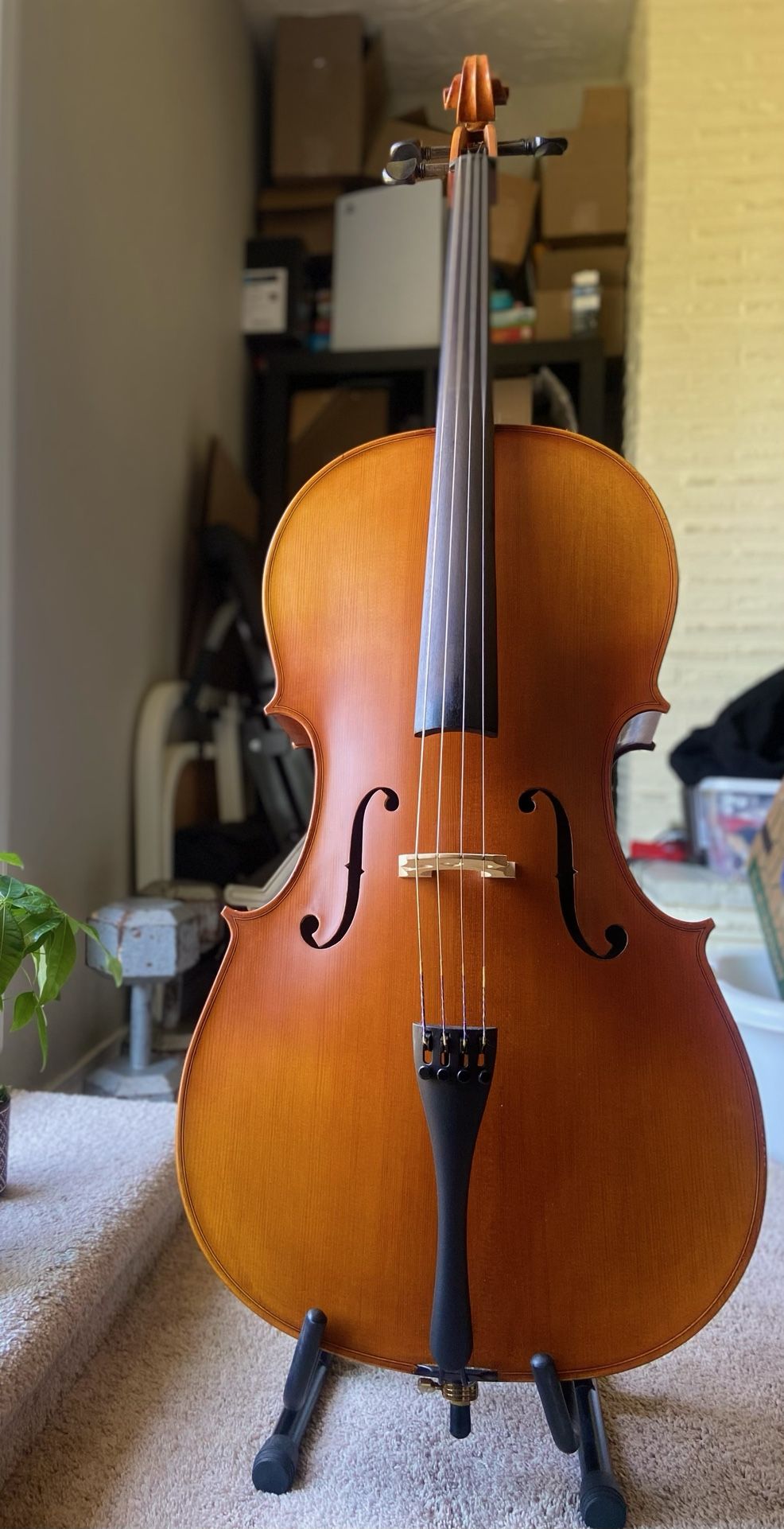 4/4 Johannes Kohr Cello