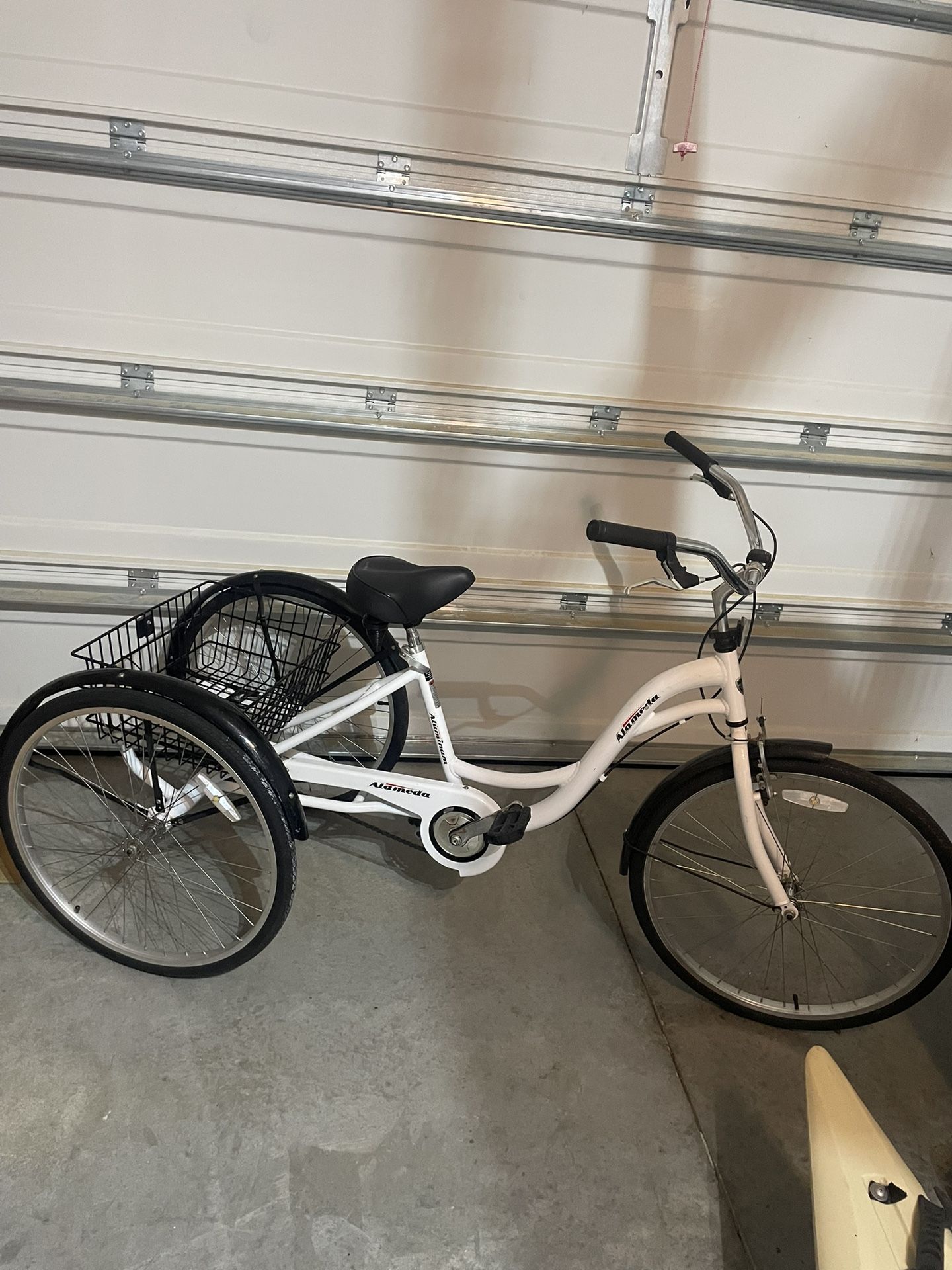 Adult Tricycle New!!!