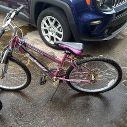 Cool Purple Bike