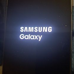 Samsung Galaxy  S21 5G Phone