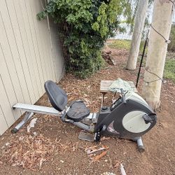 Rower And Recumbent Bike