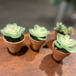 New Tiny Event Table Setting Terra Cotta Pot Faux Succulents 