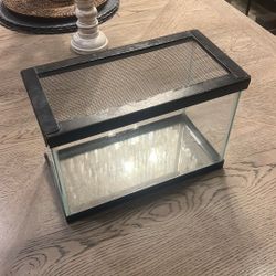 2.5 Gallon Tank w/ Metal Lid