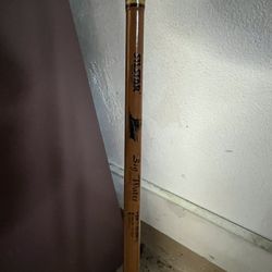 Silstar BigWater fishing rod