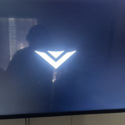vizio flatscreen tv