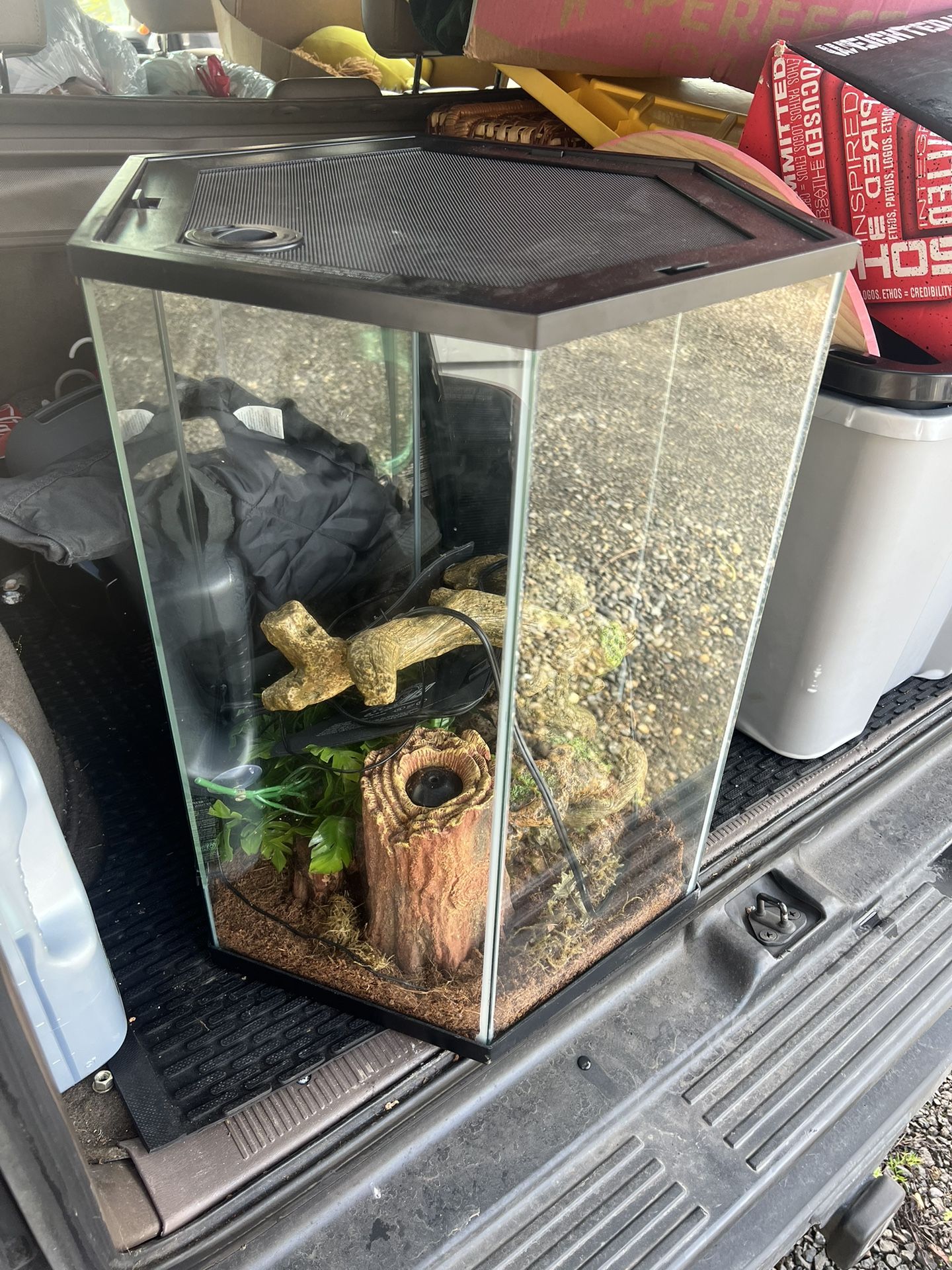 Hexagon Vertical terrarium 