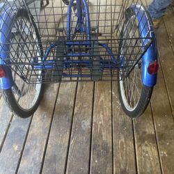 Schwinn Meridian Cruiser Tricycle 