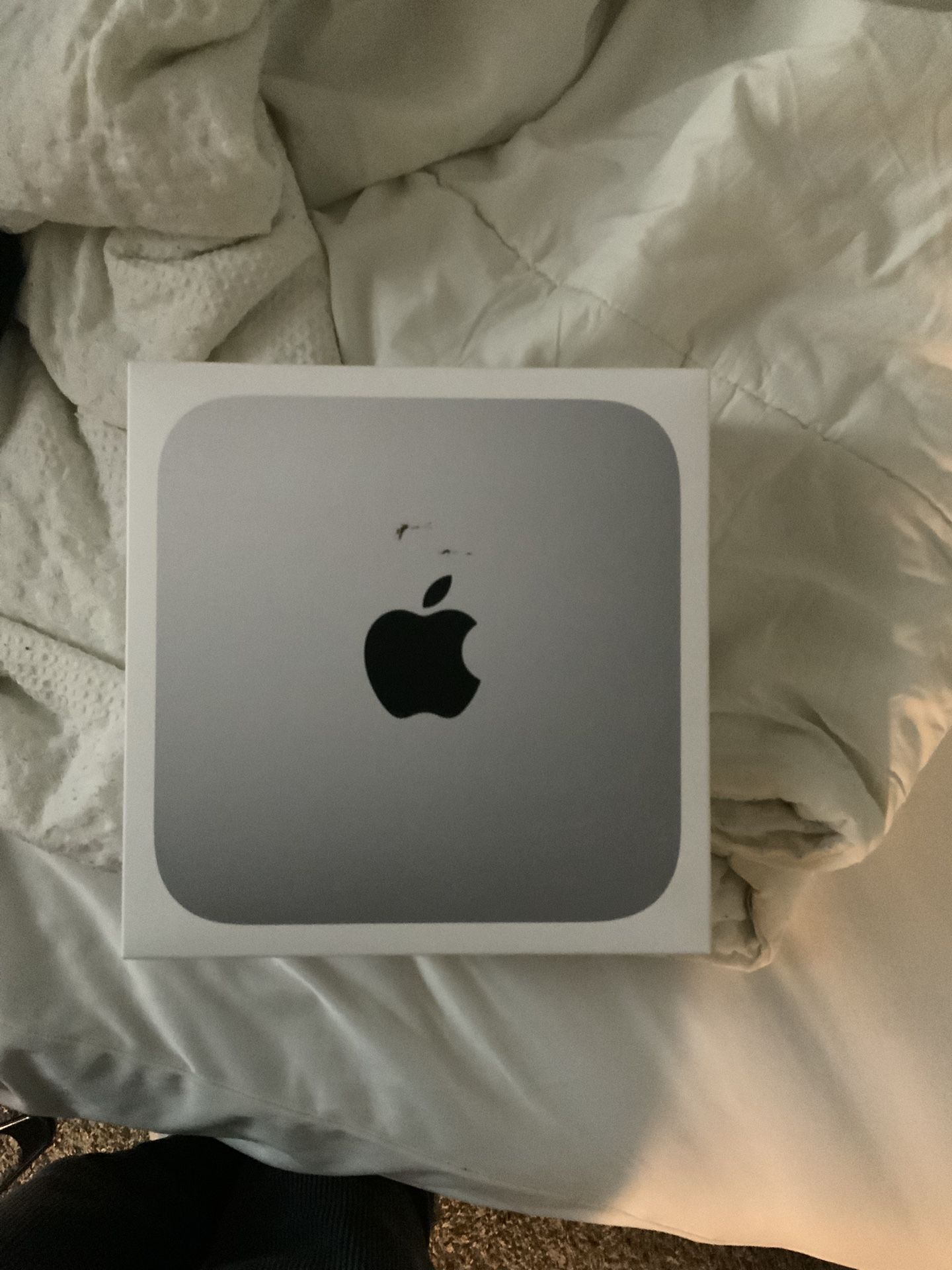 mac mini with apple m2 pro chip 512ssd 16gb