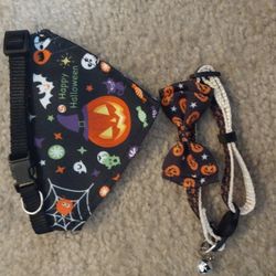 Halloween Collar