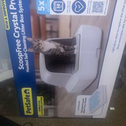 Cat Litter 
