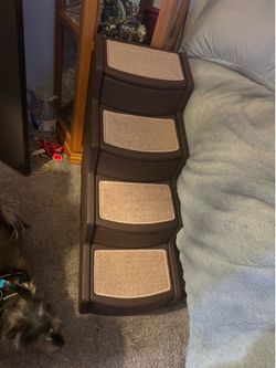 Large dog stairs.