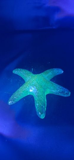 Beautiful Vintage Iridescent Glass Starfish