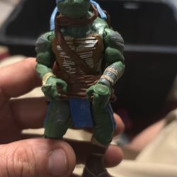 Teenage Mutant Ninja Turtles