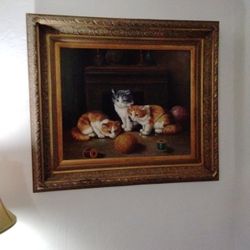 Very Nice Cat Picture Beautiful Frame $50