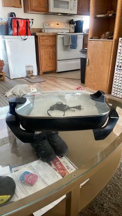 Electric skillet