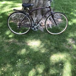 26” Cruiser Bike (21 Speed)