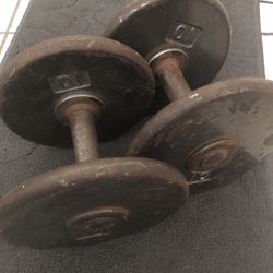 25 Pound Weight’s 