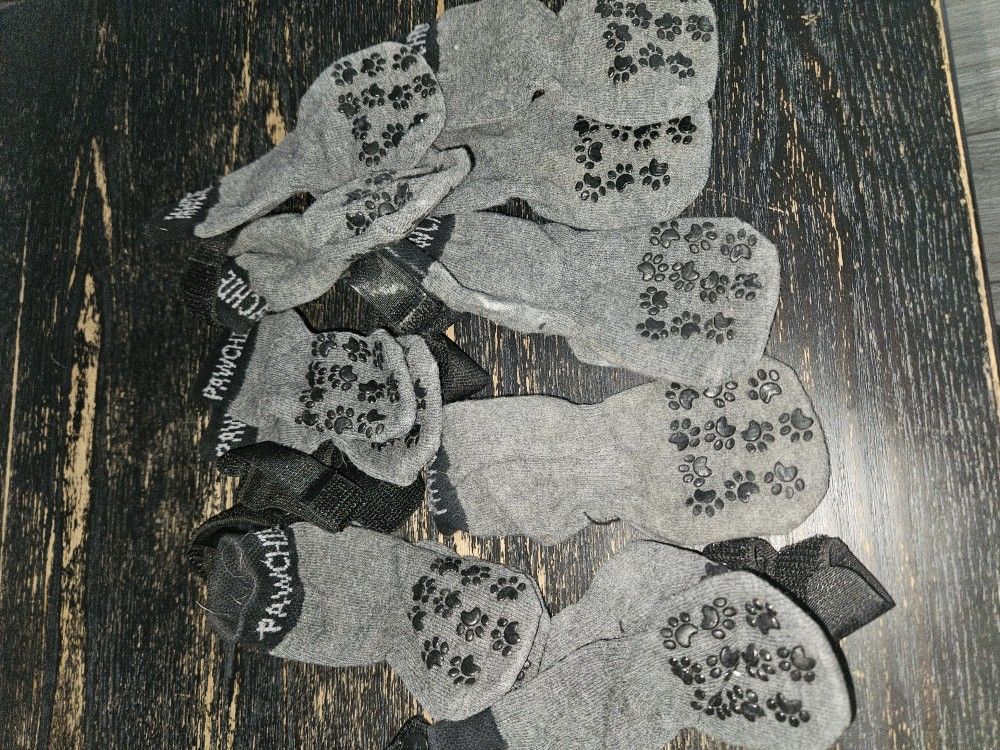 Dog Paw Socks & Shoes