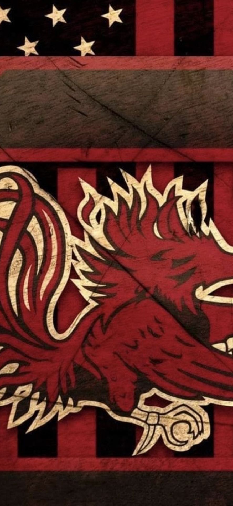 Gamecock Tickets