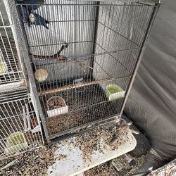 Cage