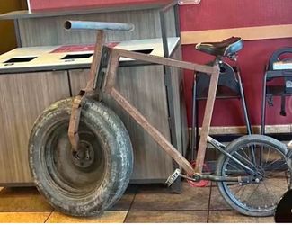 Throne 29er