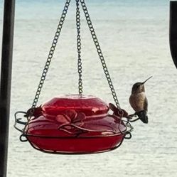 Red Glass Humming Bird Feeder