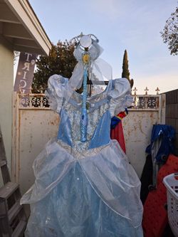 Cinderella Princess Costume Dress with Accessories