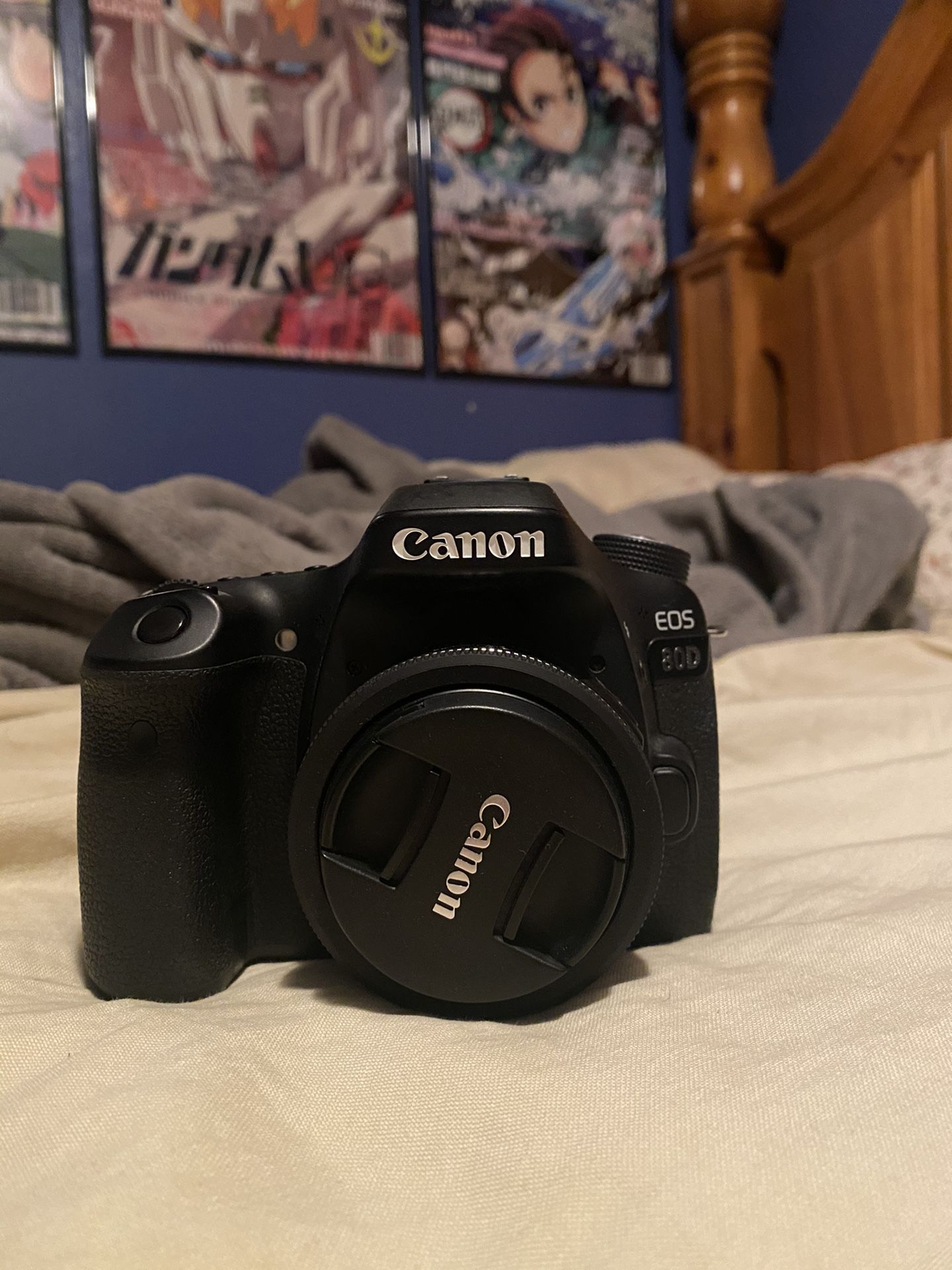 Canon 80D with 24mm Canon Lens