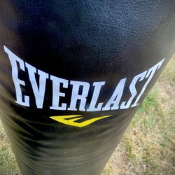 Everlast Power Core Heavy Bag 80-Pound (Includes Steel Beam Mount Bracket)