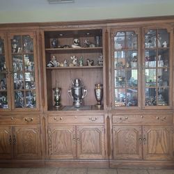 Solid Oak Wood Wall Unit with lights
