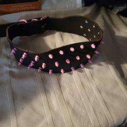 Pink Dog Collar