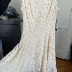 Cute Women Dress 