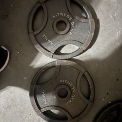 Pair of 35lb plates 