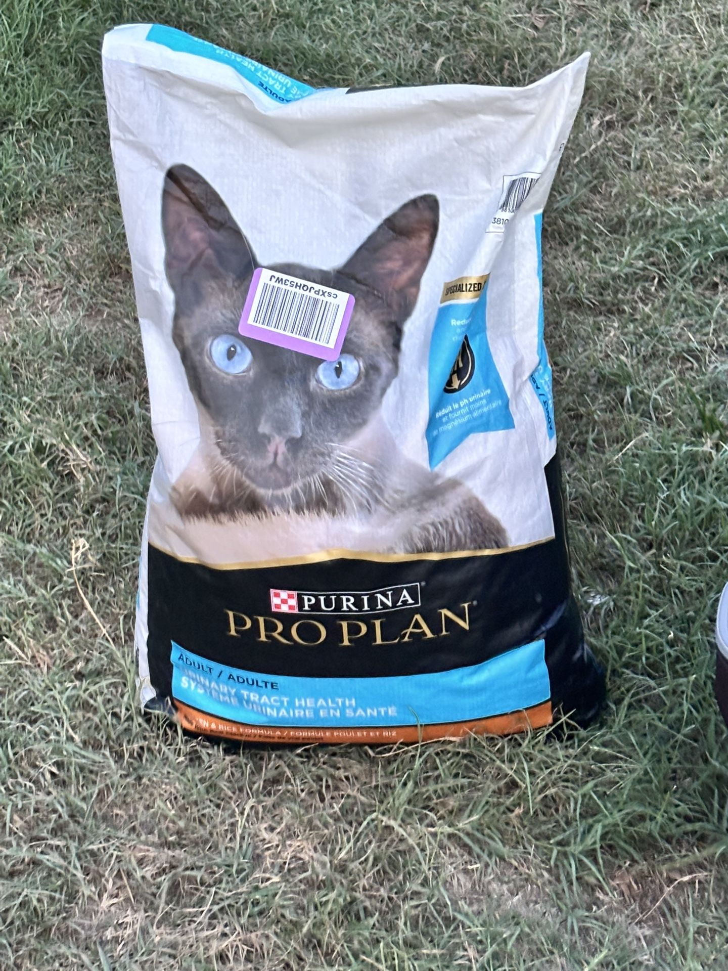 Cat Food Pro Plan