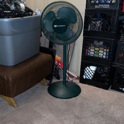 Fan