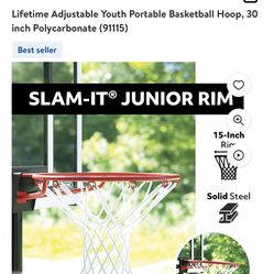 Lifetime Adjustable Youth Portable Basketball Hoop, 30 inch Polycarbonate (91115)
