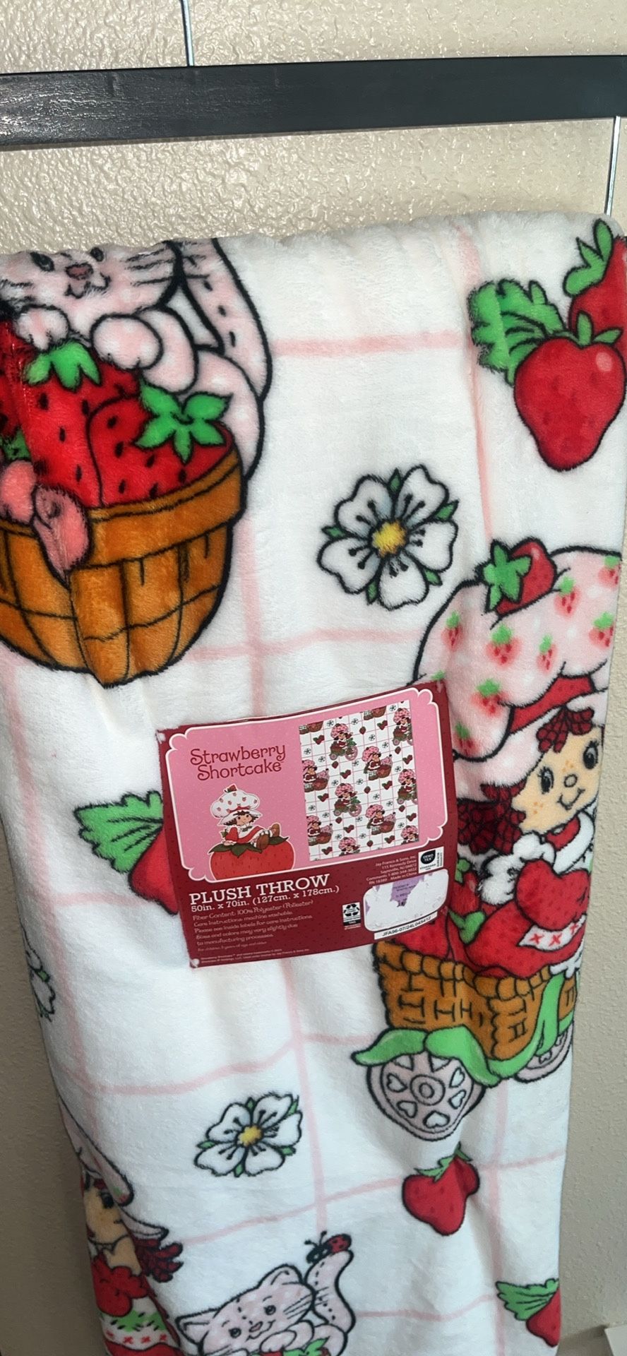 STRAWBERRY shortcake Blanket