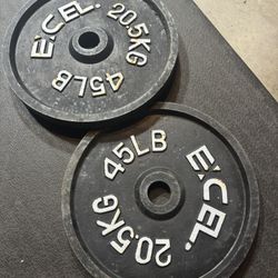 45lb Olympic Weights 