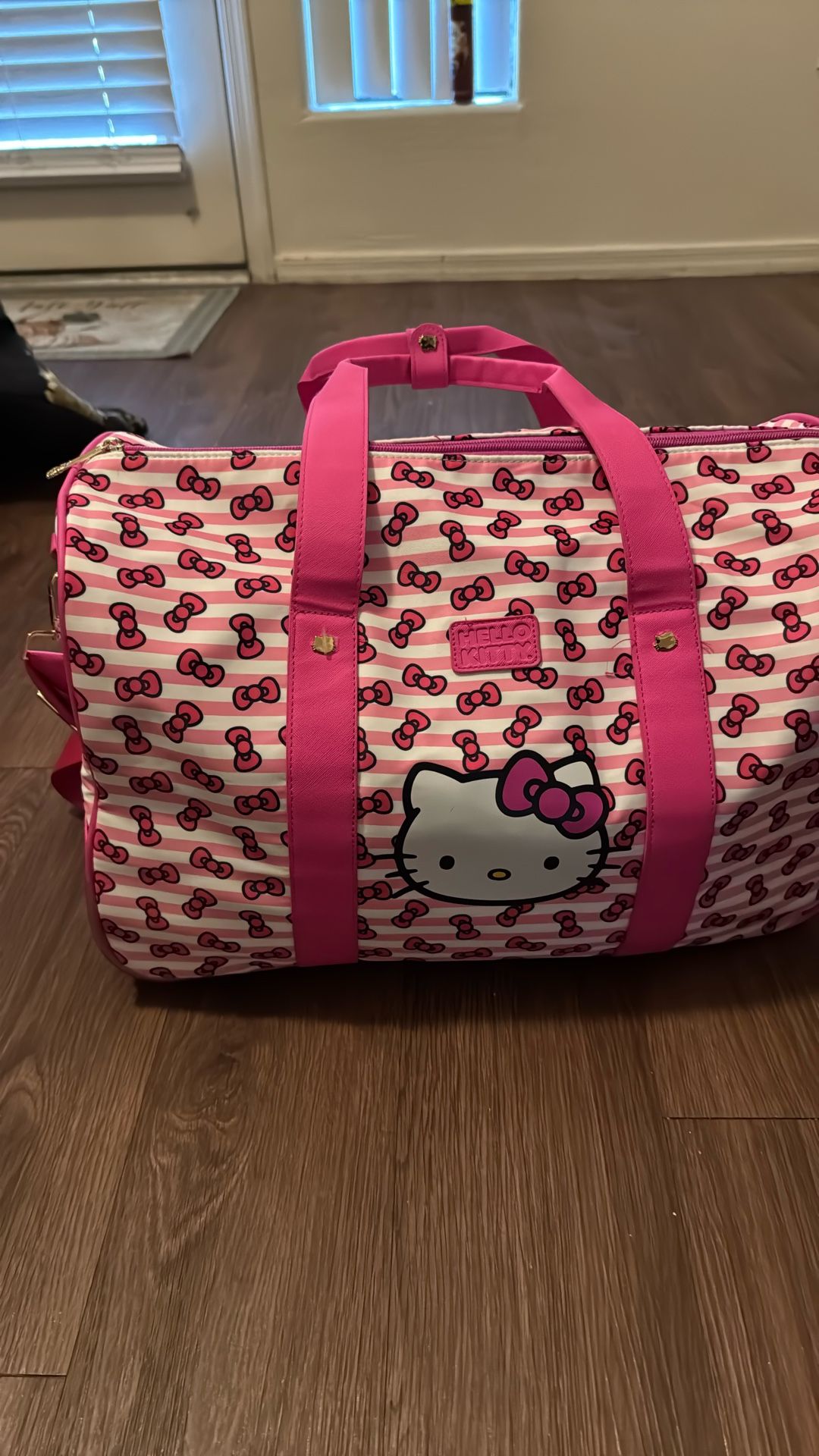 Luggage Hello Kitty